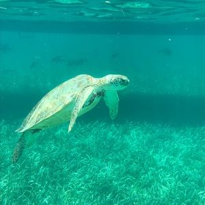 Meet your Posher, Nathan